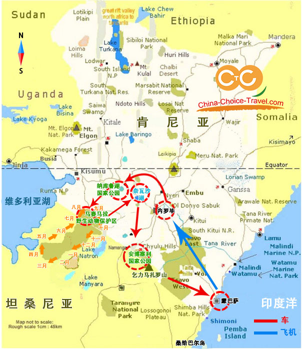 肯尼亚野生动物游猎8日经典(青春活力系列)