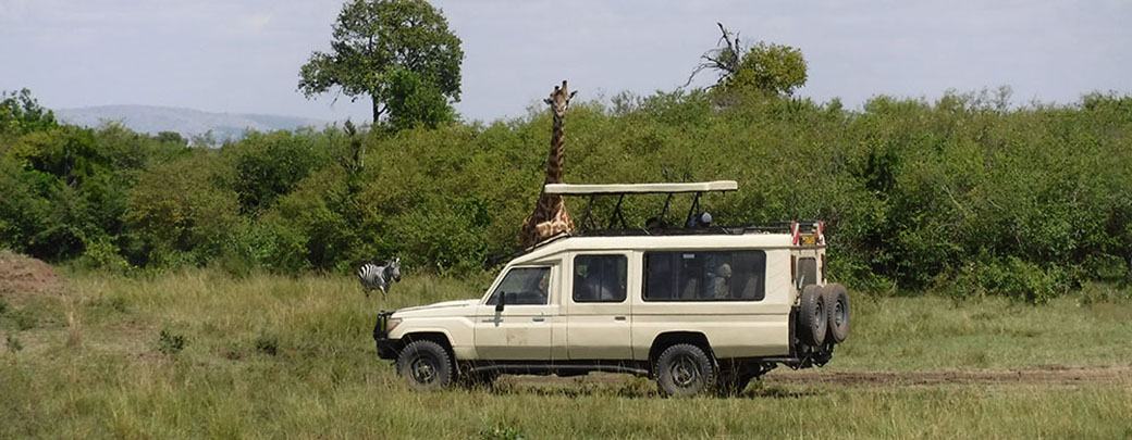 全程Safari专用越野车